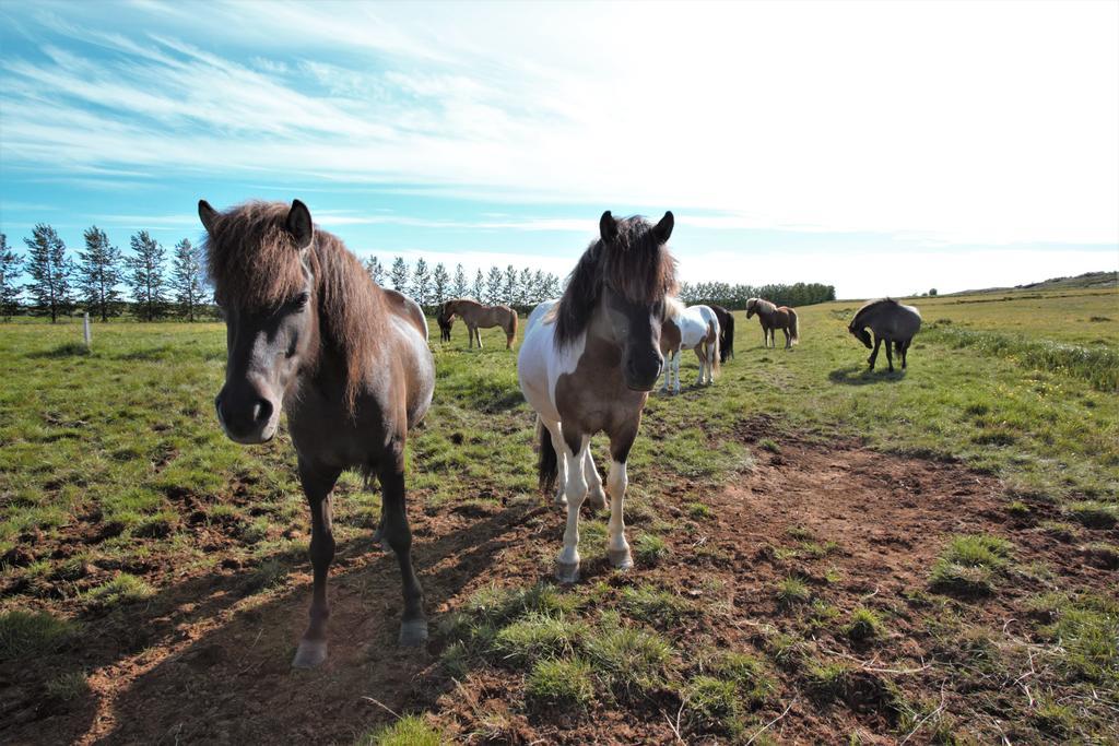 Greenkey Ranch - Fell เรย์คอลท์ ภายนอก รูปภาพ